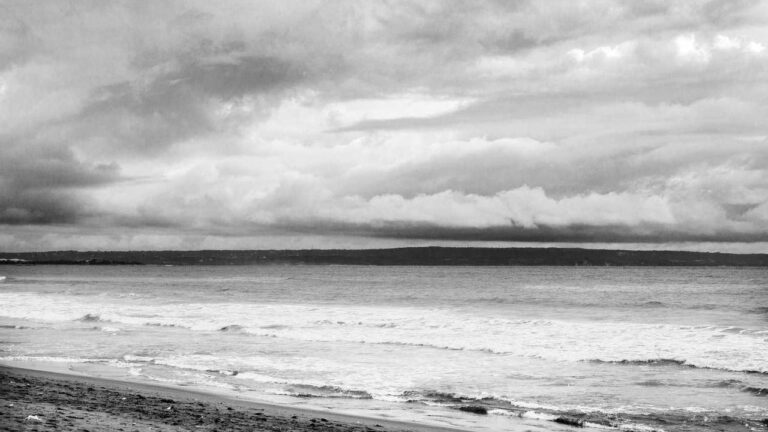 Is There An Official Wikipedia Page For 11Xplay?